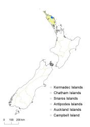 Odontosoria chinensis distribution map based on databased records at AK, CHR and WELT.
 Image: K. Boardman © Landcare Research 2016 CC BY 3.0 NZ
